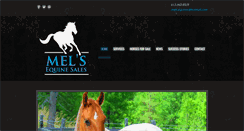 Desktop Screenshot of melsequinesales.com